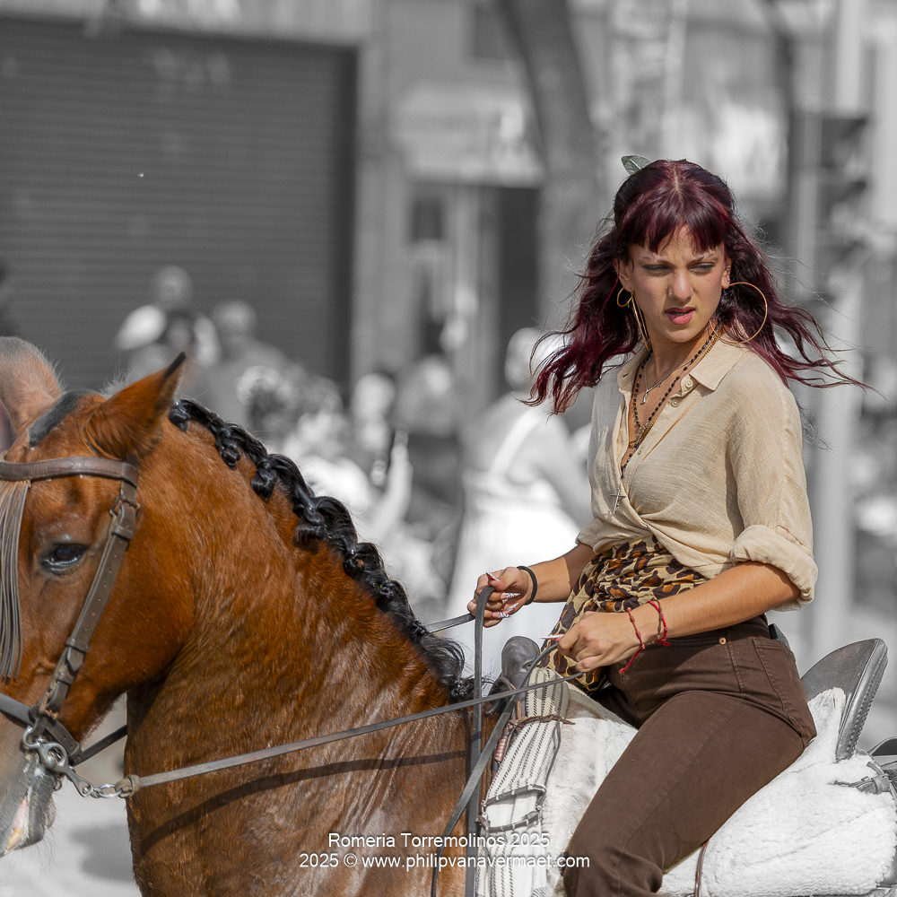 DSC_1496